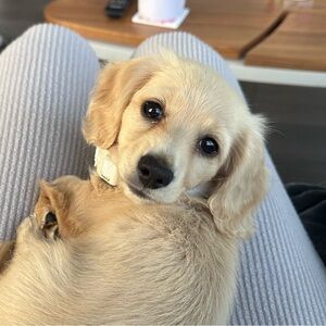 Meet your Posher, Marie